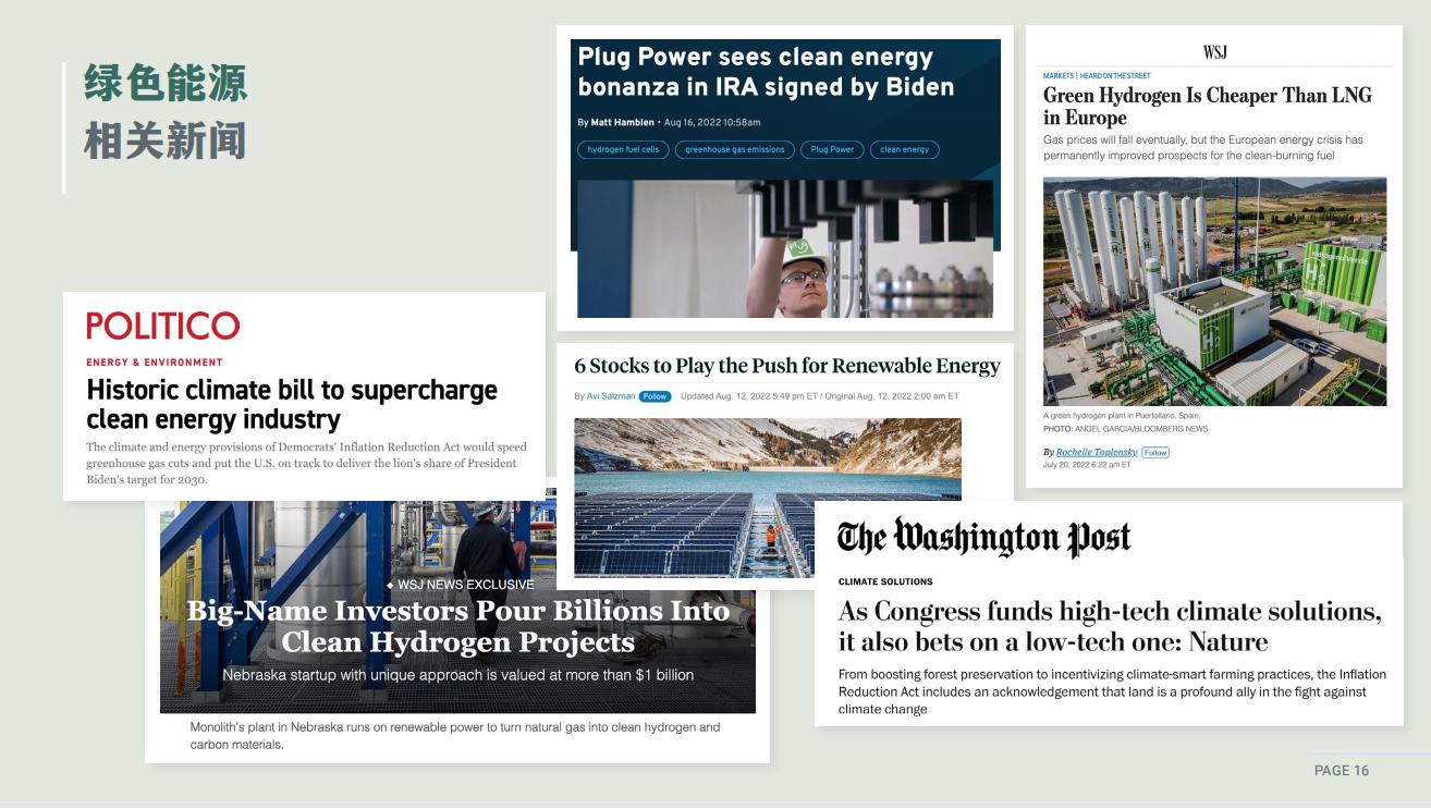 Brochure_Green Hydrogen Plant_CN_15.jpg